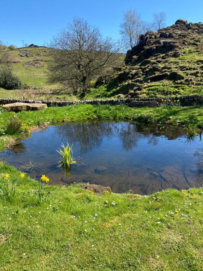 Bluebell Bell Tent The Roaches Upper Hulme Eksteriør billede